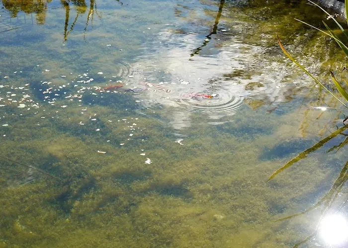 Waldchalet Steinbock *